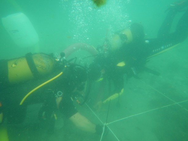 Foto - Karadeniz'den heyecanlandıran haber