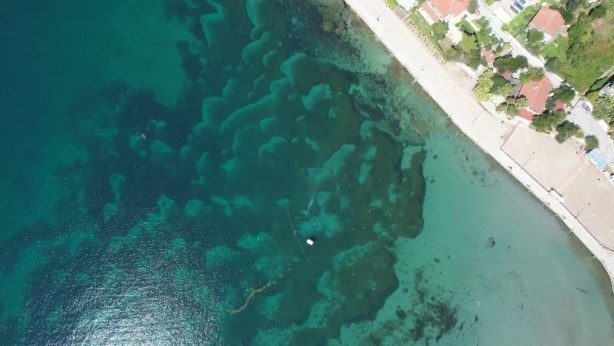 Foto - Karadeniz'den heyecanlandıran haber