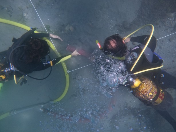 Foto - Karadeniz'den heyecanlandıran haber
