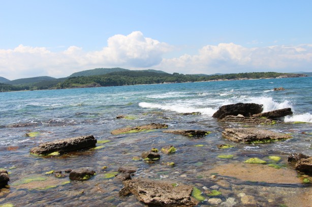 Foto - Karadeniz'den heyecanlandıran haber