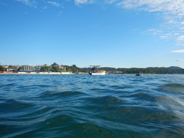 Foto - Karadeniz'den heyecanlandıran haber