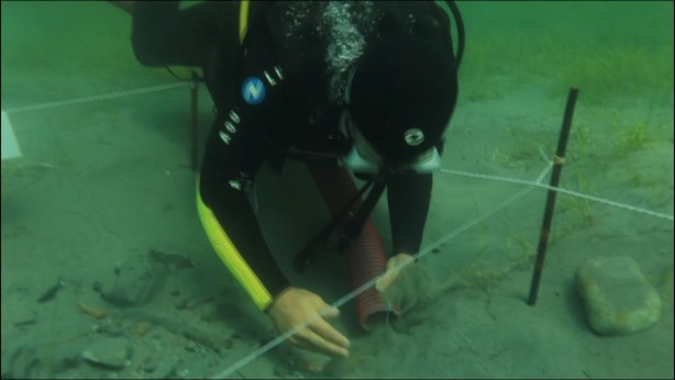 Foto - Karadeniz'den heyecanlandıran haber