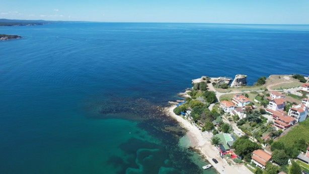 Foto - Karadeniz'den heyecanlandıran haber