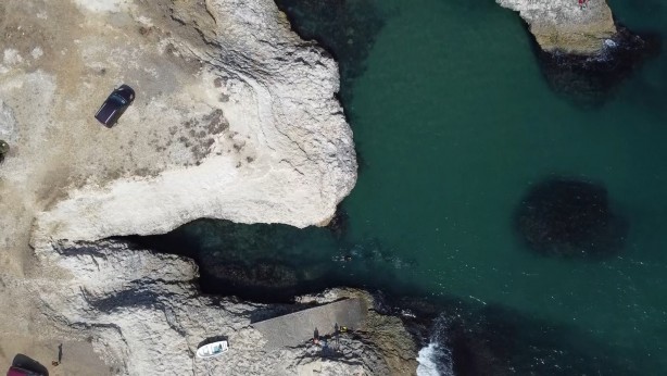 Foto - Karadeniz'den heyecanlandıran haber