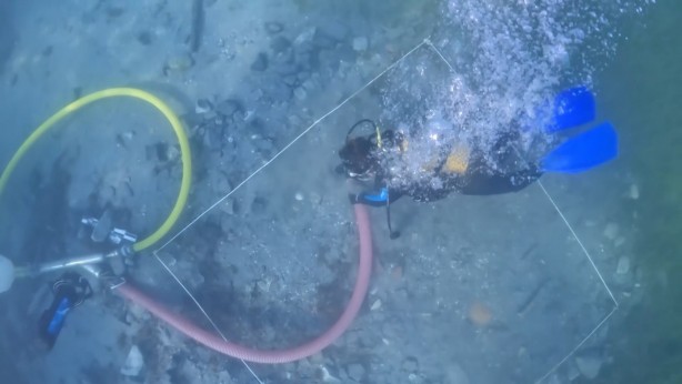 Foto - Karadeniz'den heyecanlandıran haber