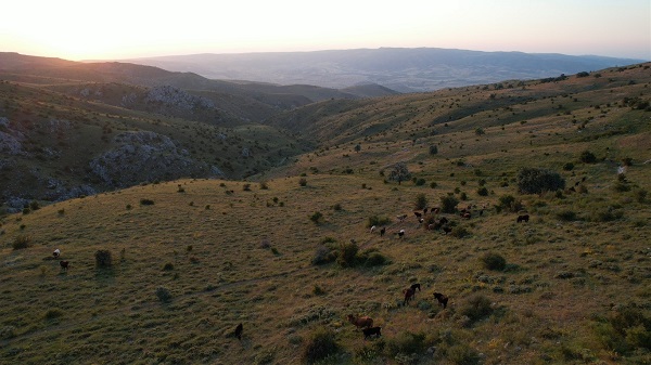 Foto - Karadeniz'i aratmayan yayla: Kalecik Şeyh Mahmut Yaylası