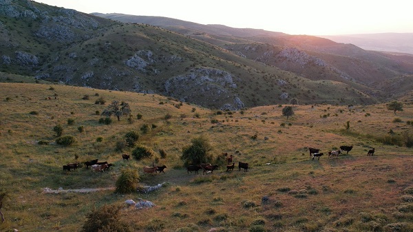 Foto - Karadeniz'i aratmayan yayla: Kalecik Şeyh Mahmut Yaylası