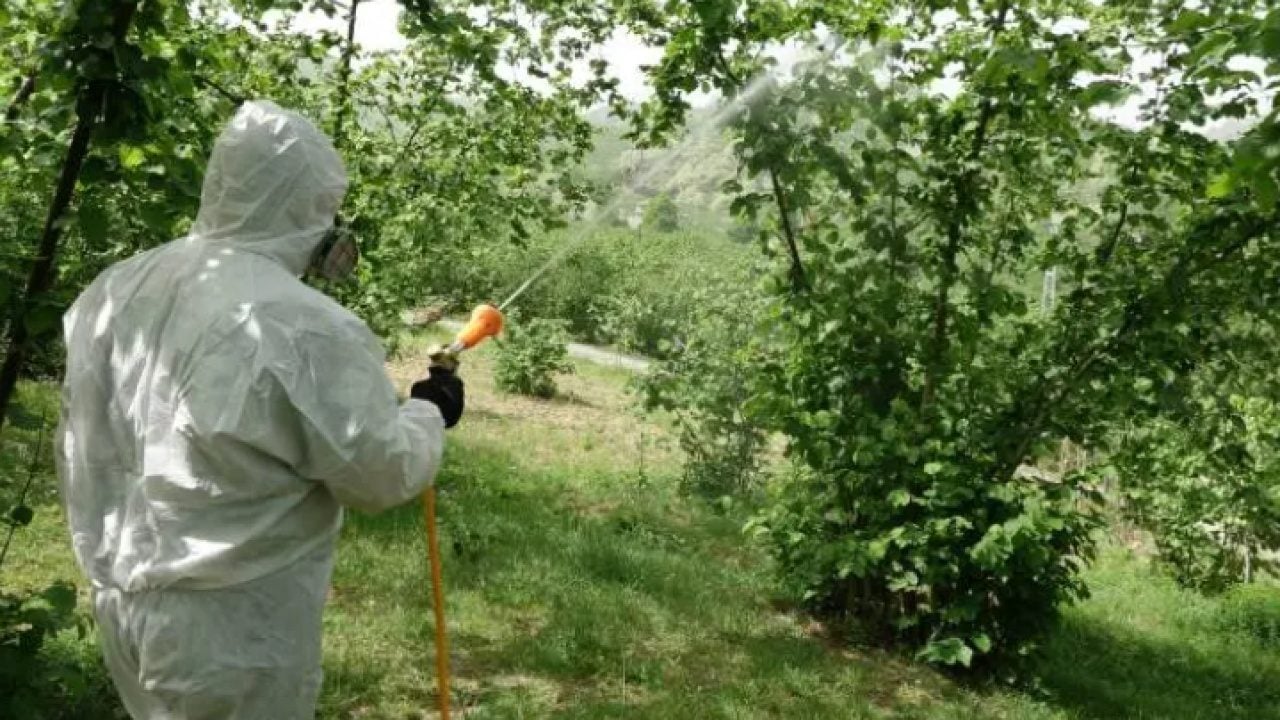 Karadeniz'in başına bela olmuştu: Çareyi yeni istasyonda buldular!