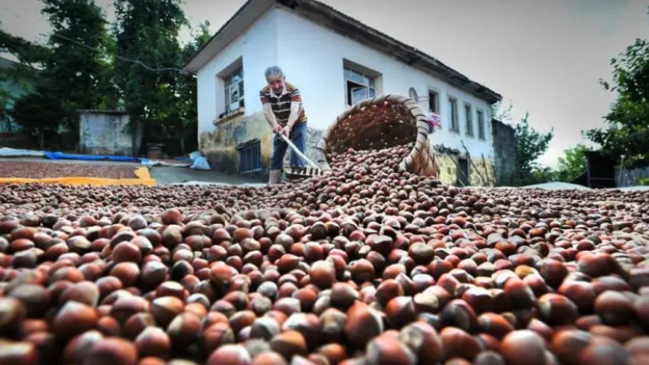 Foto - Karadeniz'in başına bela olmuştu: Çareyi yeni istasyonda buldular!