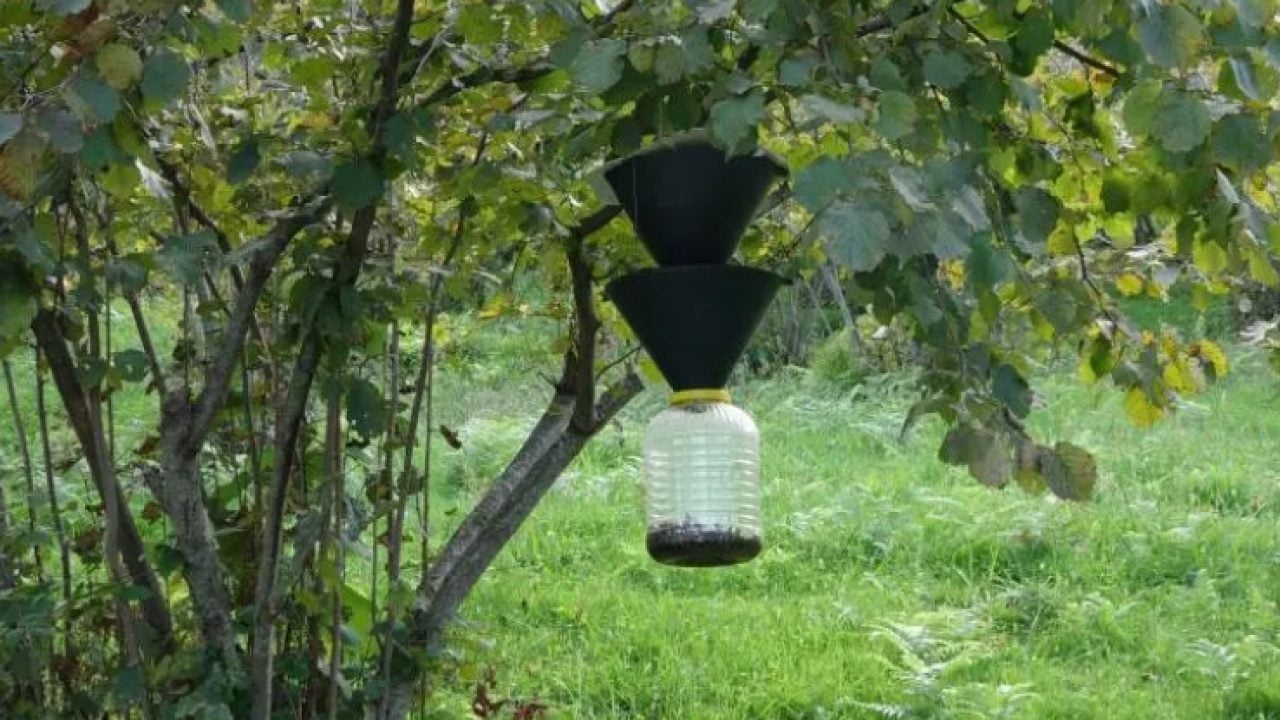 Foto - Karadeniz'in başına bela olmuştu: Çareyi yeni istasyonda buldular!