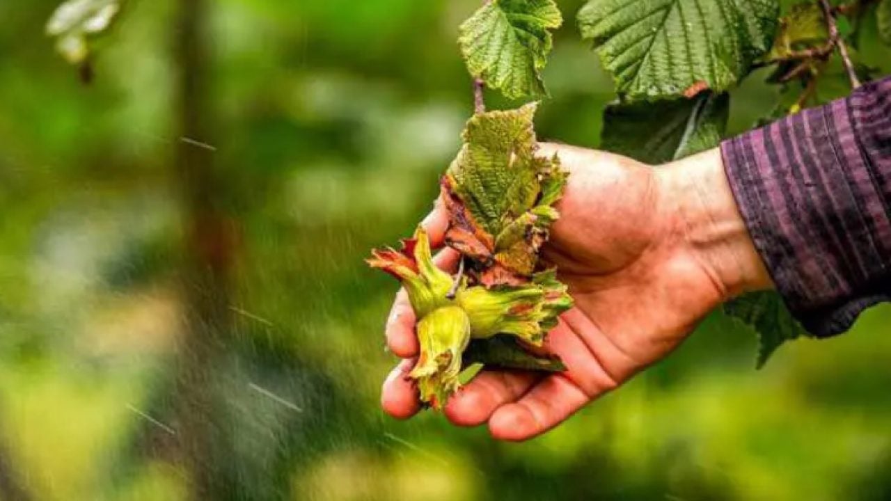 Foto - Karadeniz'in başına bela olmuştu: Çareyi yeni istasyonda buldular!