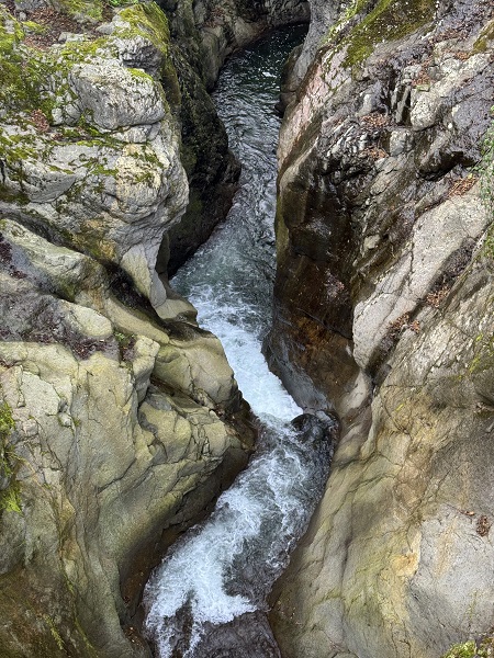 Foto - Karadeniz’in doğal güzelliği: Çamaş Kanyonu