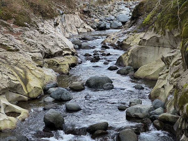Foto - Karadeniz’in doğal güzelliği: Çamaş Kanyonu