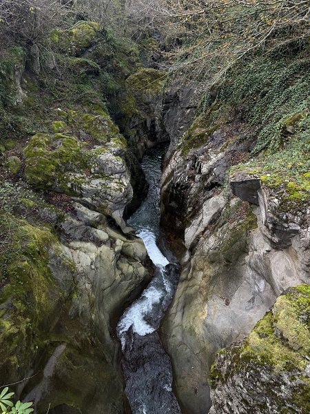 Foto - Karadeniz’in doğal güzelliği: Çamaş Kanyonu