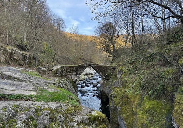 Foto - Karadeniz’in doğal güzelliği: Çamaş Kanyonu