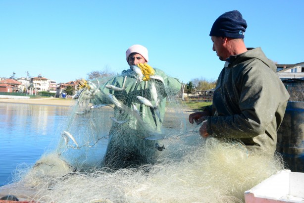 Foto - Karadeniz’in incisi çinekop, yeni yılın ilk ayında yüzleri güldürdü
