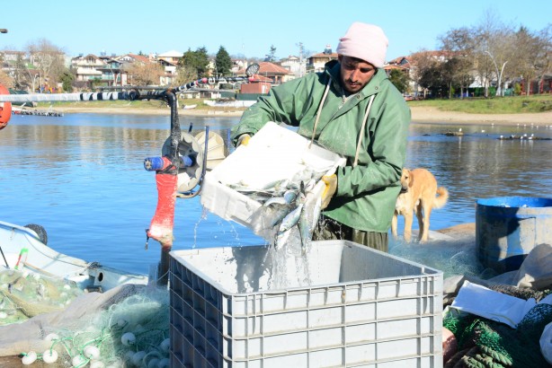 Foto - Karadeniz’in incisi çinekop, yeni yılın ilk ayında yüzleri güldürdü