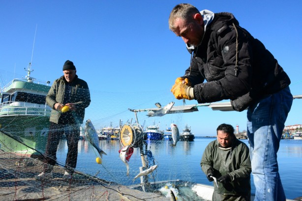Foto - Karadeniz’in incisi çinekop, yeni yılın ilk ayında yüzleri güldürdü