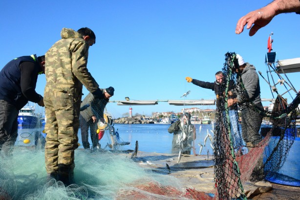 Foto - Karadeniz’in incisi çinekop, yeni yılın ilk ayında yüzleri güldürdü