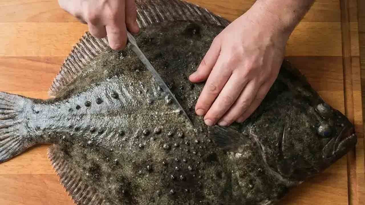 Foto - Karadeniz’in lezzeti kalkan tezgaha indi: Kilogramı 1000 liradan satılıyor