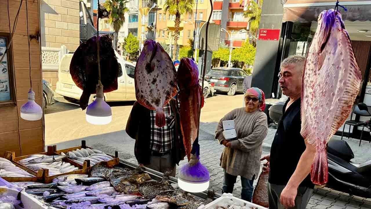 Foto - Karadeniz’in lezzeti kalkan tezgaha indi: Kilogramı 1000 liradan satılıyor