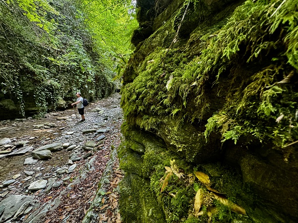 Foto - Karadeniz’in muhteşem doğası! Bu güzellik keşfedilmeyi bekliyor