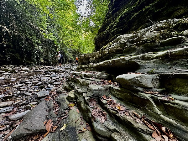 Foto - Karadeniz’in muhteşem doğası! Bu güzellik keşfedilmeyi bekliyor