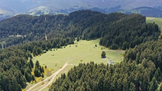 Foto - Karadeniz'in oksijen deposu Kümbet Yaylası huzur vadediyor!