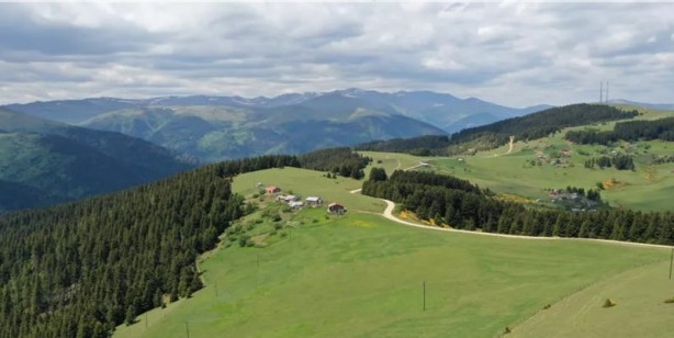 Karadeniz'in oksijen deposu Kümbet Yaylası huzur vadediyor!