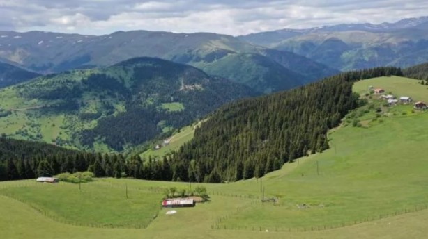 Foto - Karadeniz'in oksijen deposu Kümbet Yaylası huzur vadediyor!