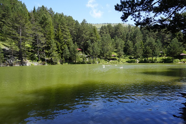 Foto - Karadeniz'in serin sığınağı: Limni Gölü