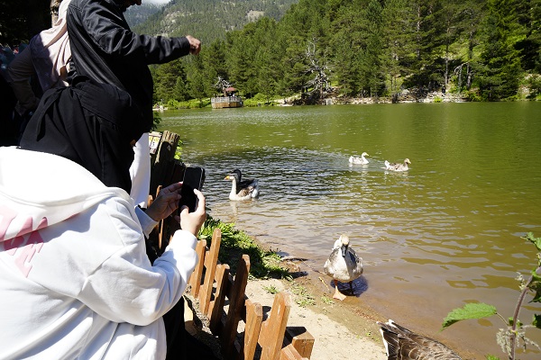 Foto - Karadeniz'in serin sığınağı: Limni Gölü