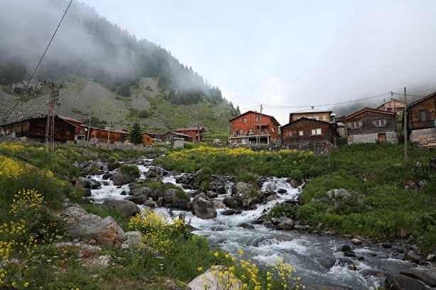 Foto - Karadeniz'in yeni gözdesi Elevit Yaylası ziyaretçilerine huzur veriyor