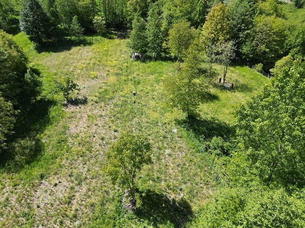 Foto - Karadenizli çiftçilerin yeni favorisi! Kilosu 1500 TL'den satılıyor