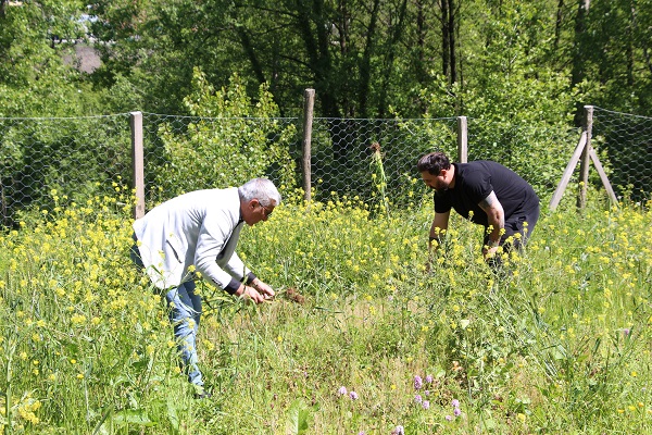 Foto - Karadenizli çiftçilerin yeni favorisi! Kilosu 1500 TL'den satılıyor