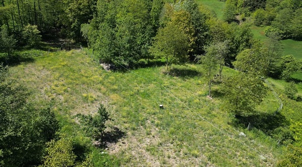 Foto - Karadenizli çiftçilerin yeni favorisi! Kilosu 1500 TL'den satılıyor