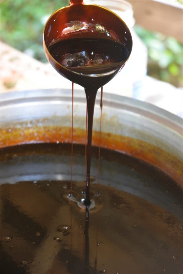 Foto - Karadenizlilerin vazgeçilmezi: Pekmez