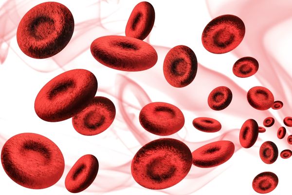 Foto - Karadut pekmezinin şifa niyetine 10 faydası: Hastalıklara böyle son verdi! İşte yok etme gücüne sahip besin