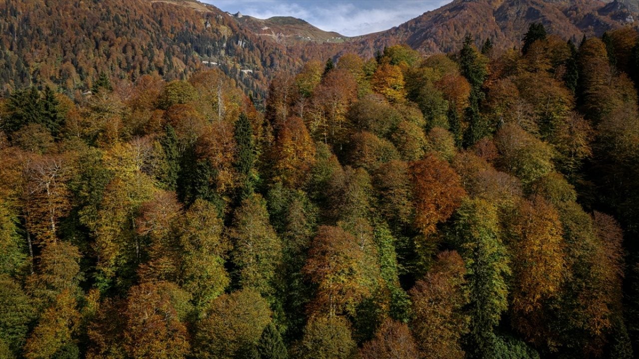 Foto - Karagöl güz renklerine büründü