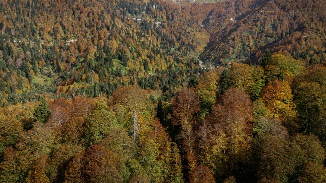 Foto - Karagöl güz renklerine büründü