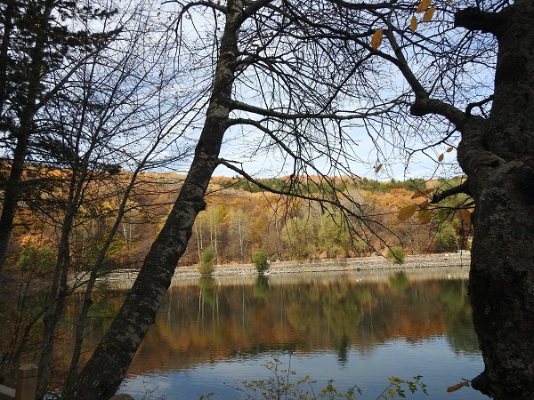 Foto - Karagöl Tabiat Parkı'nda sonbahar güzelliği