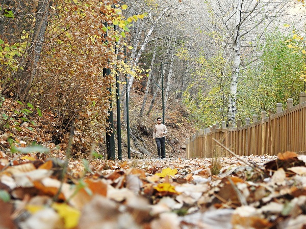 Foto - Karagöl Tabiat Parkı'nda sonbahar güzelliği