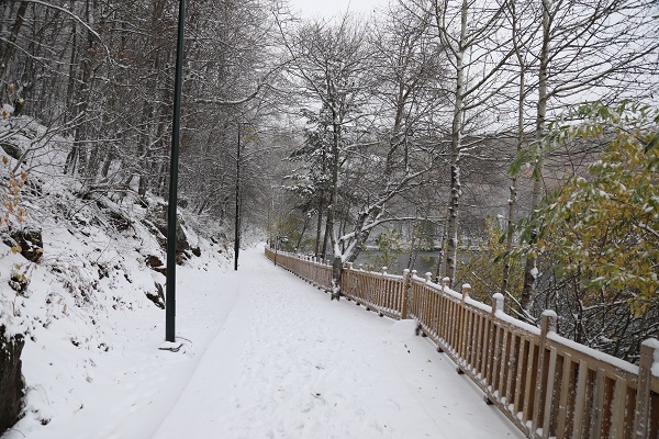 Foto - Karagöl Tabiat Parkı’nda tabloluk manzara