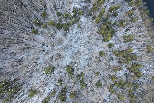 Foto - Karagöl'de kar manzarası