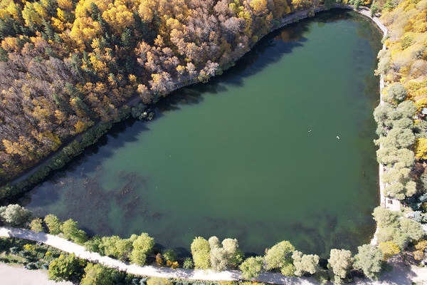 Foto - Karagöl'e sonbahar geldi: Sarının her tonu