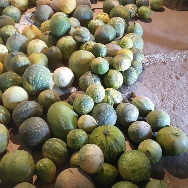 Foto - Karahallı Düğleği tescil aldı