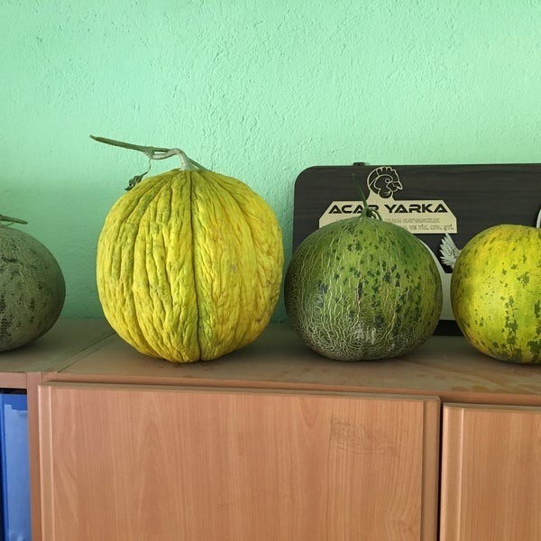 Foto - Karahallı Düğleği tescil aldı