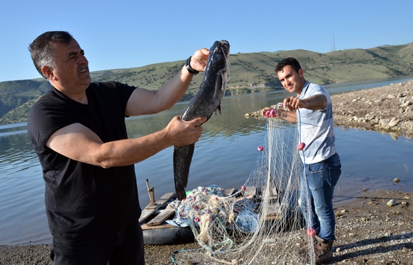 Foto - Karakurt Baraj Gölü’nde balık bereketi