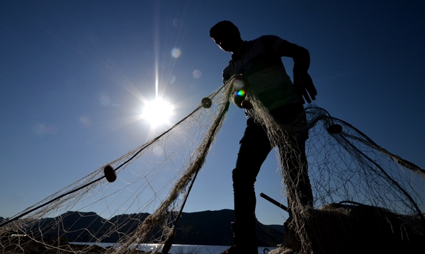 Foto - Karakurt Baraj Gölü’nde balık bereketi