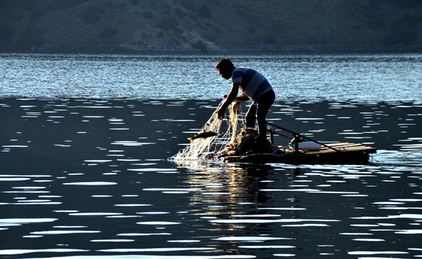 Foto - Karakurt Baraj Gölü’nde balık bereketi